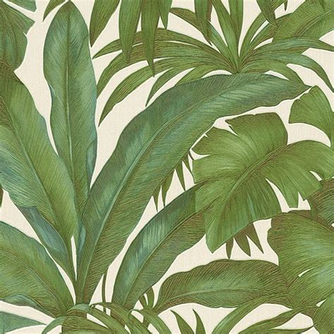 versace giungla wallpaper|Versace Giungla Banana Palm Leaves Wallpaper .